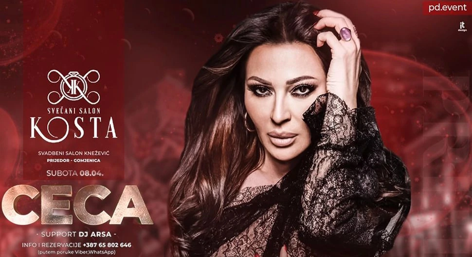 Ceca koncert.webp